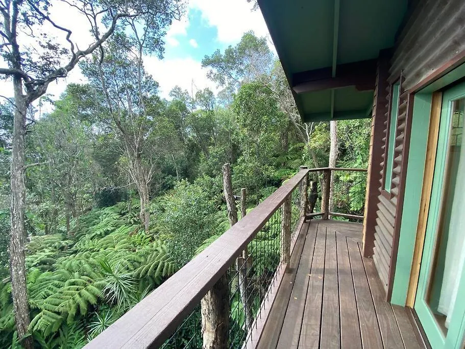 Romantic Cabin Treehouse In Hawaii Cloud Forest Kailua-Kona 0*,  USA