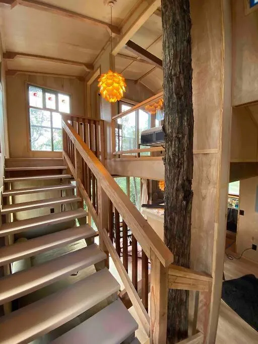 Romantic Cabin Treehouse In Hawaii Cloud Forest Kailua-Kona USA