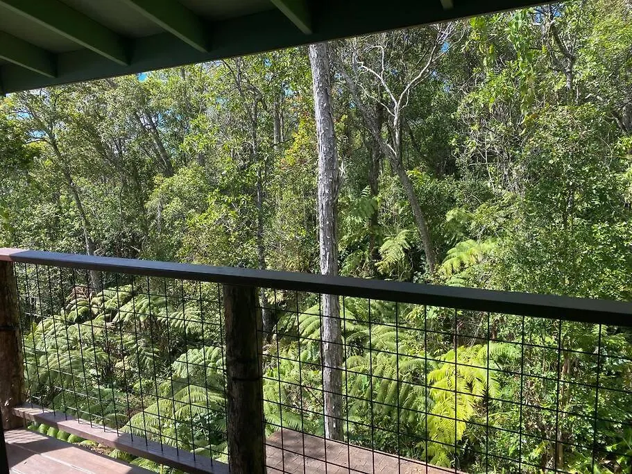 Romantic Cabin Treehouse In Hawaii Cloud Forest Kailua-Kona