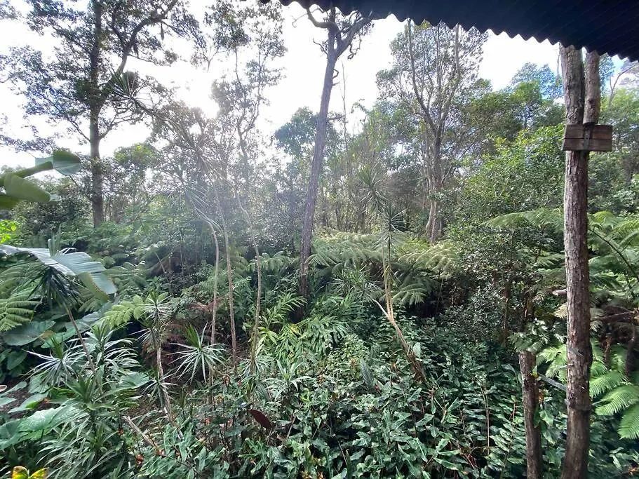 Ferienhaus Romantic Cabin Treehouse In Hawaii Cloud Forest Kailua-Kona