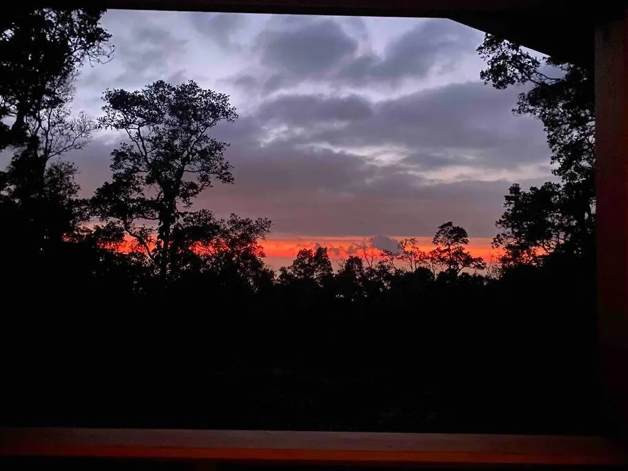 بيت للعطل Romantic Cabin Treehouse In Hawaii Cloud Forest كايلو كونا